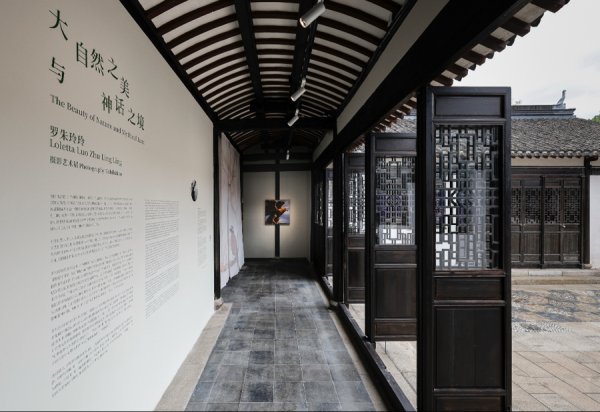 盛康优配 在上海蟠龙新天地，邂逅大自然之美与神话之境